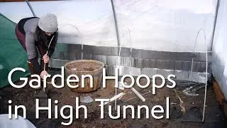 Adding a low tunnel (fiberglass hoops) inside the hoop house w/ overnight temps