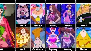 December Birthdays in One Piece