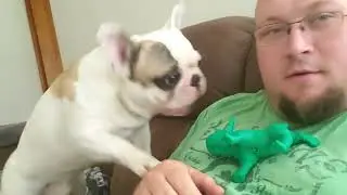 Thor and the 3D printed Frenchy nemesis 