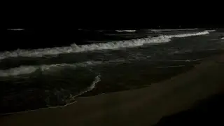 Deep Relaxation Music • Gentle Ocean Waves in a Quiet Night to Calm the Mind for Relaxing Sleep