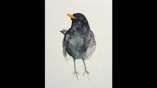 Blackbird - Kit Downes and Joe Webb