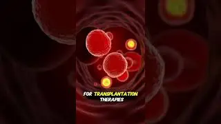 Umbilical Cord Stem Cells Are Saving Lives in Stem Cell Clinics Mexico!