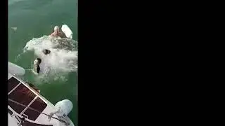 Swimming in the Mar Menor