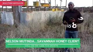 From Beginner to Pro Beekeeper // The Savannah Honey Success Story