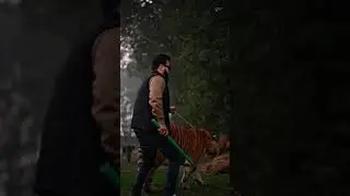 Big Tiger Loves to Walks in Chain | Nouman Hassan
