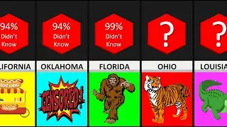 Comparison: Bizarre Laws in USA I Bet You Didn't Know!