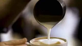 Blip Roasters Part 2 (Official commercial [Shot with Panasonic GH5 and Sony A6300])