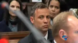An analyst&rsquo;s views on Barry Steenkamp's testimony