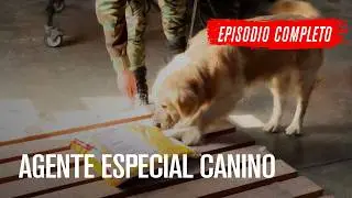🇨🇱🇵🇪 Lo mejor de CHILE y PER&Uacute; ⚠️🚨 &iexcl;Contrabandistas atrapados! ⚠️ &iexcl;ALTO! FRONTERA 🚧