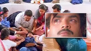 Pellivaramandi Movie Comedy Scenes | Telugu Comedy Movies || TFC Movies