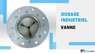 Dosage industriel - Vanne &agrave; manchon | Palamatic Process