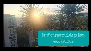 Adoption Vlog Ep. 30: What Does the Adoption Schedule Look Like Once You're in Colombia?