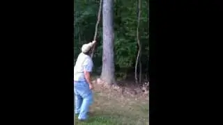 Tarzan Swings From A Vine