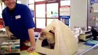 TARZAN FINALLY LEAVES PETCO!!!