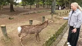Japan - Nara and Todaiji Temple