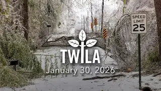 TWILA—January 30, 2025