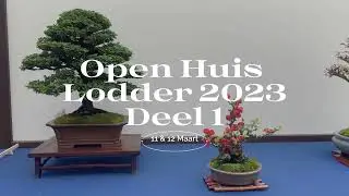 Open House Lodder 2023 part 1. @bonsai4all