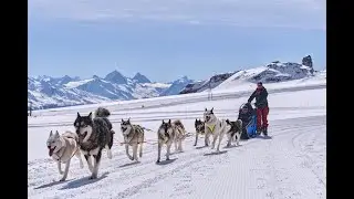 Les métiers de la montagne: Charlotte, Musheuse à Glacier 3000 dans les Alpes Vaudoises