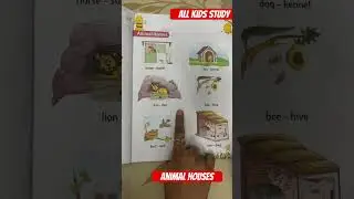 #animal #animals #animal houses 🏠