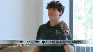 Area kids get up close look of native birds at Eau Claire Library show