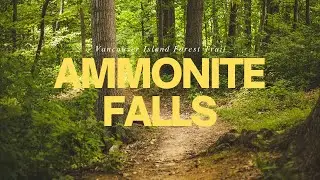 Sunset Forest Walk to Ammonite Falls | Vancouver Island Nature Trail + Surprise Deer Encounter
