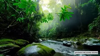 Calming Nature Rain Sounds for Study and Focus | Ambient Productivity Audio
