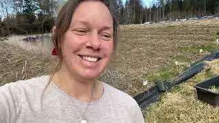 Weed situation in the onion field and what to do about it!