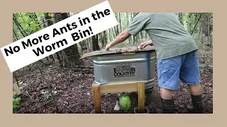 #119 No More Ants in the Worm Bin and Prepping the Garden for Fall