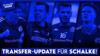 Transfer-Update Schalke 04: So steht es um B&uuml;lter, Schallenberg, Leitsch, Churlinov und mehr!