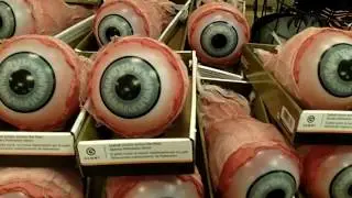 Cool Halloween Toys at At Home 2016!