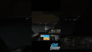 MSFS Landing at Philly #gobirds#shorts#Youtube#USA#trending#viral#msfs2020