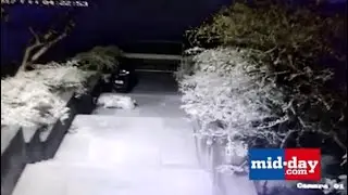 Leopard attacks stray dog for breakfast