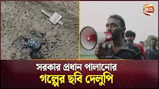সরকার প্রধান পালানোর গল্পের ছবি দেলুপি | Delupi | New Cinema | Channel 24