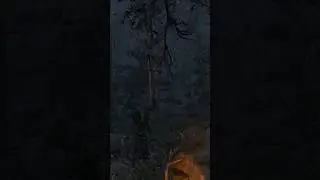 90% of the players missed this Hidden Detail in Skellige - Witcher 3