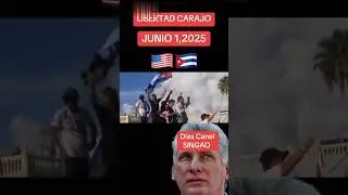 CUBANOS EN MIAMI PROTESTAN CONTRA EL PRESIDENTE DE CUBA DIAZ CANEL.