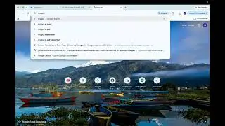 Catify-Web Extension