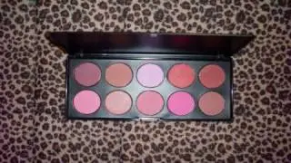 BH Cosmetics Review 10 Colors Professional Blush Palette