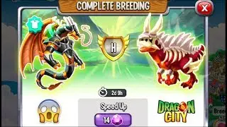 Dragon City: Eternal Metal Dragon vs High Feral Dragon [EXCLUSIVE BREEDING] 😱
