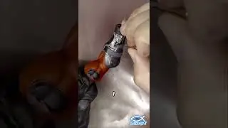 Saved the paint job with one spray can trick!