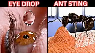 Things You Must See In Slow Motion | Tamil Amazing Facts