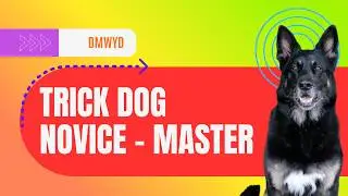 Do More With Your Dog - Juneau's Novice Master Trick Dog Title - NTDM