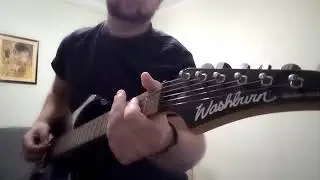 Washburn wr 121
