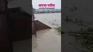 नरोरा गंगा जी पर  अचानक से बढ़ जल 😱😱 viral #shortsfeedshortsfeed