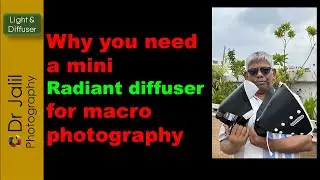 Why you need a mini Radiant diffuser for macro photography