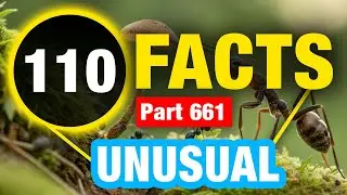110 Amazing Random Facts | Mind Blowing World Facts You Won&rsquo;t Believe