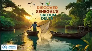 Discover Senegal&rsquo;s Saloum Delta: A UNESCO Gem!