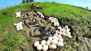 unique  ! Catch a lot of fish and collect eggs in the fields.