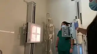 Posterior Ribs