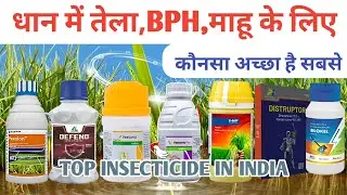 Top 10 BPH Insect 🐝 Control Product In India Pexalone,Defend,Sparcle, Curbix Pro Etc 