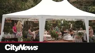 One of Canada&rsquo;s hidden treasures: Inside this dreamy lavender farm